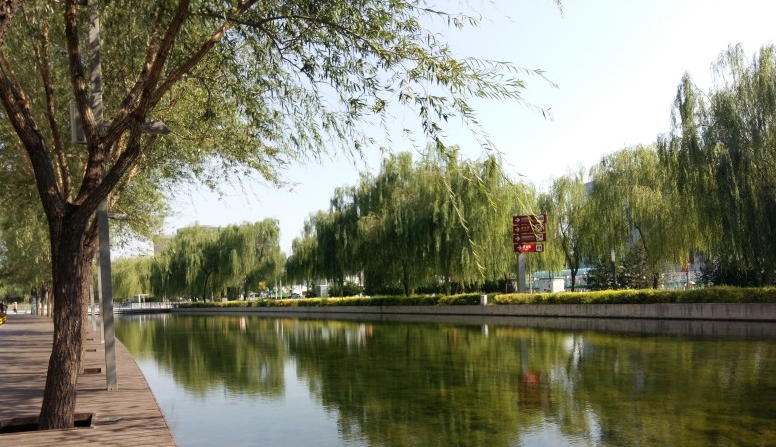 天津東麗湖新新地河生態林綠化工程三標段工程